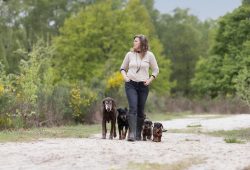 Frau-blond-Bianca-Stahl-Wald-Hunde-ohne-Leine-frei-Beifuß