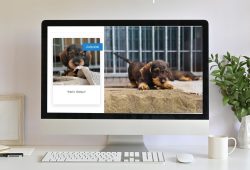 Mein Welpe Desktop Mockup (2)